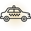Pet taxi